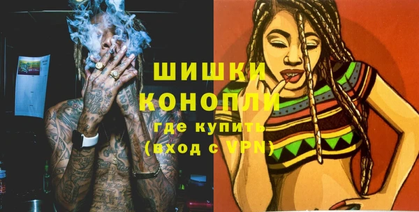 шишки Гвардейск